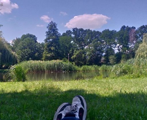 Fall down, stand up and repeat